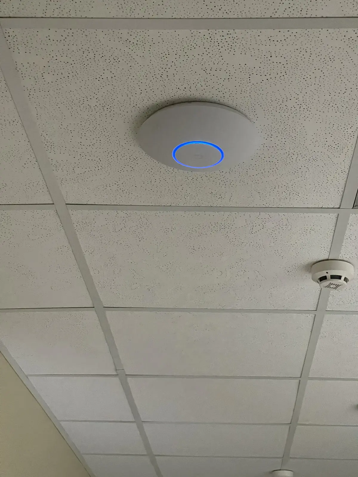 Smart Home — Doina (Quo Vadis) &mdash; iHome Group